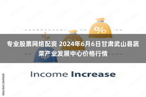 专业股票网络配资 2024年6月6日甘肃武山县蔬菜产业发展中心价格行情