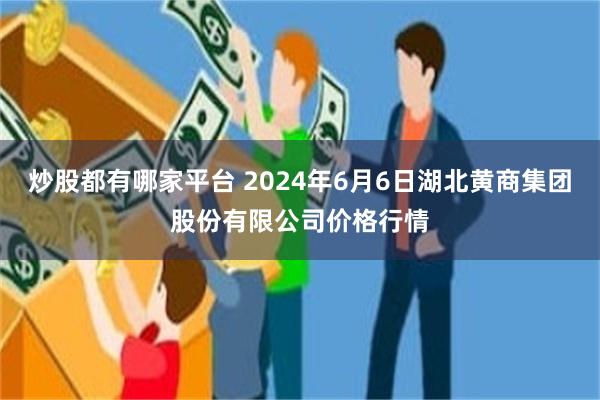 炒股都有哪家平台 2024年6月6日湖北黄商集团股份有限