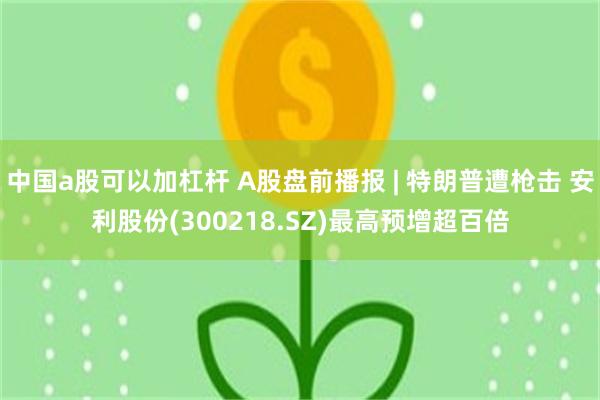 中国a股可以加杠杆 A股盘前播报 | 特朗普遭枪击 安利股份(300218.SZ)最高预增超百倍