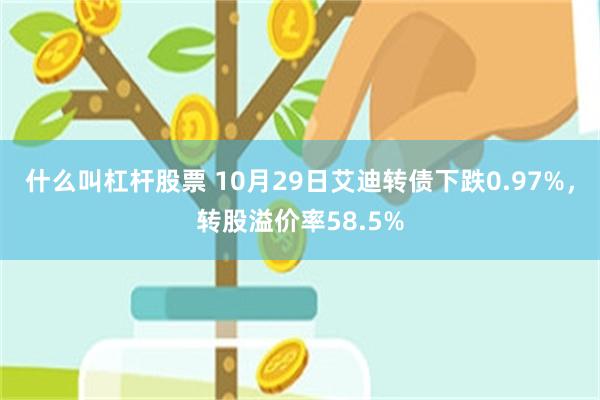 什么叫杠杆股票 10月29日艾迪转债下跌0.97%，转股溢价率58.5%