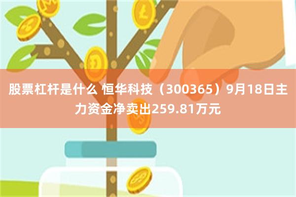 股票杠杆是什么 恒华科技（300365）9月18日主力资