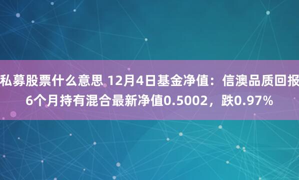 私募股票什么意思 12月4日基金净值：信澳品质回报6个月持有混合最新净值0.5002，跌0.97%