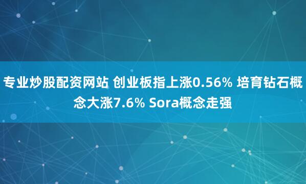 专业炒股配资网站 创业板指上涨0.56% 培育钻石概念大涨7.6% Sora概念走强