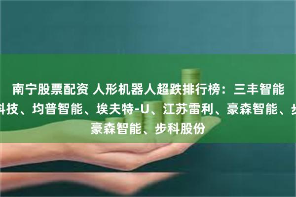 南宁股票配资 人形机器人超跌排行榜：三丰智能、肇民科技、均普智能、埃夫特-U、江苏雷利、豪森智能、步科股份