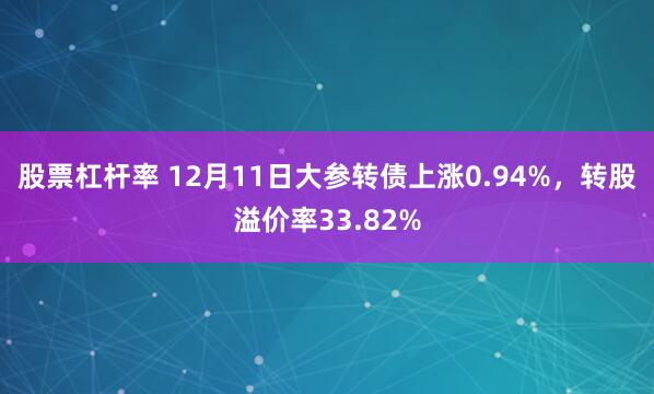 股票杠杆率 12月11日大参转债上涨0.94%，转股溢价率33.82%