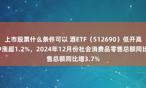 上市股票什么条件可以 酒ETF（512690）低开高走，盘中涨超1.2%，2024年12月份社会消费品零售总额同比增3.7%