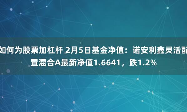 如何为股票加杠杆 2月5日基金净值：诺安利鑫灵活配置混合A最新净值1.6641，跌1.2%