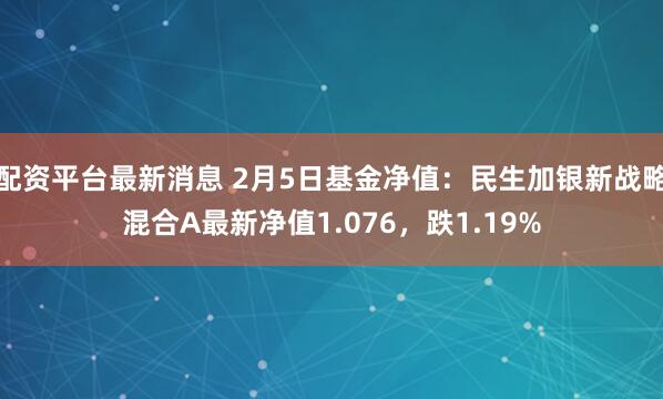 配资平台最新消息 2月5日基金净值：民生加银新战略混合A最新净值1.076，跌1.19%