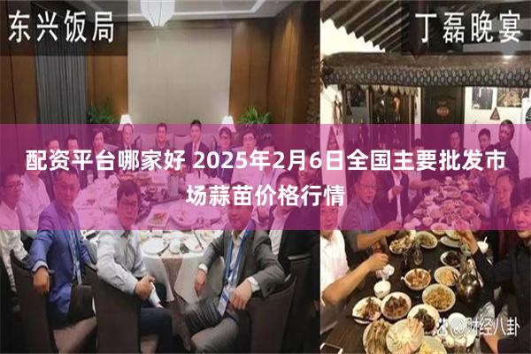 配资平台哪家好 2025年2月6日全国主要批发市场蒜苗价格行情