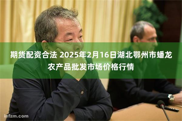 期货配资合法 2025年2月16日湖北鄂州市蟠龙农产品批发市场价格行情