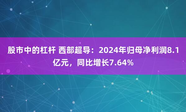 股市中的杠杆 西部超导：2024年归母净利润8.1亿元，同比增长7.64%